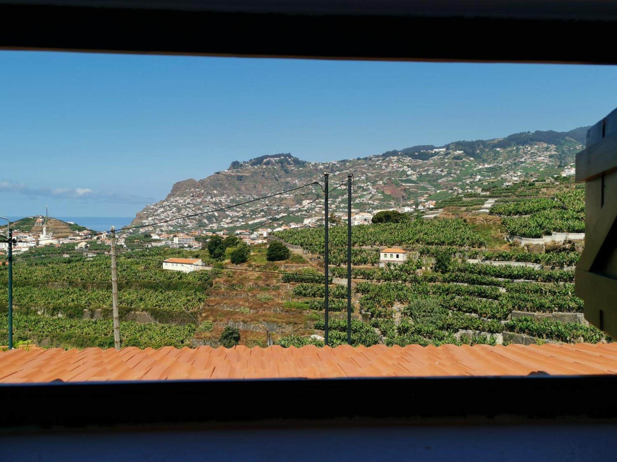 Villa Nova Madeira In Funchal Casa A And B Szoba fotó